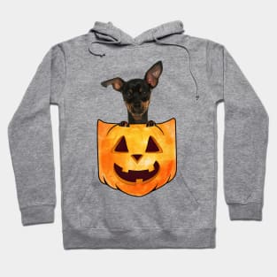 Miniature Pinscher Dog In Pumpkin Pocket Halloween Hoodie